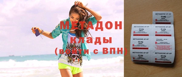 прущие грибы Арсеньев