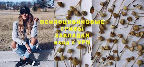 прущие грибы Арсеньев