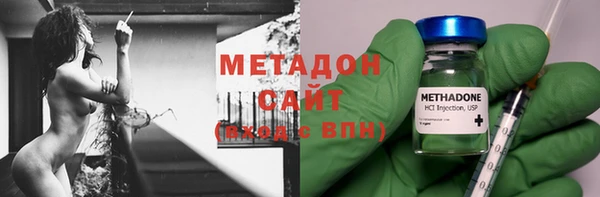 прущие грибы Арсеньев
