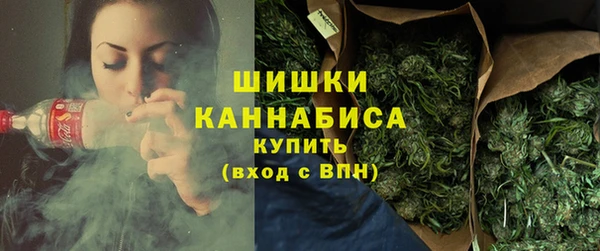 прущие грибы Арсеньев